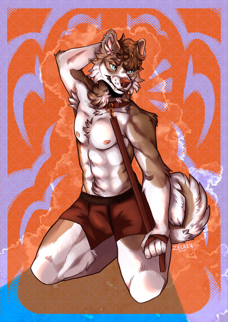 Standard fullbody (90€)